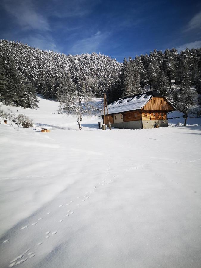 Valle Divina Mislinja Экстерьер фото
